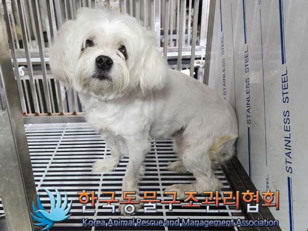 한국동물구조관리협회_411307202400156
